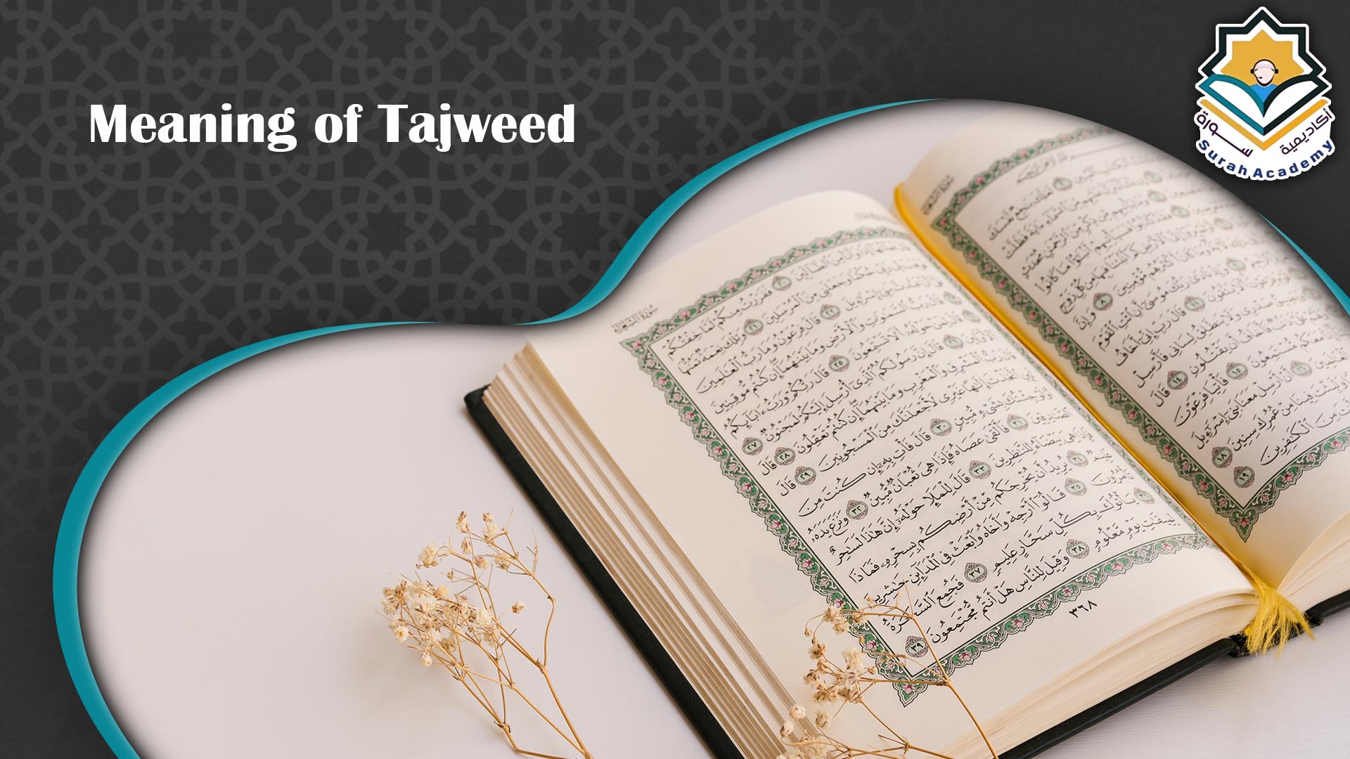 learning quran with tajweed